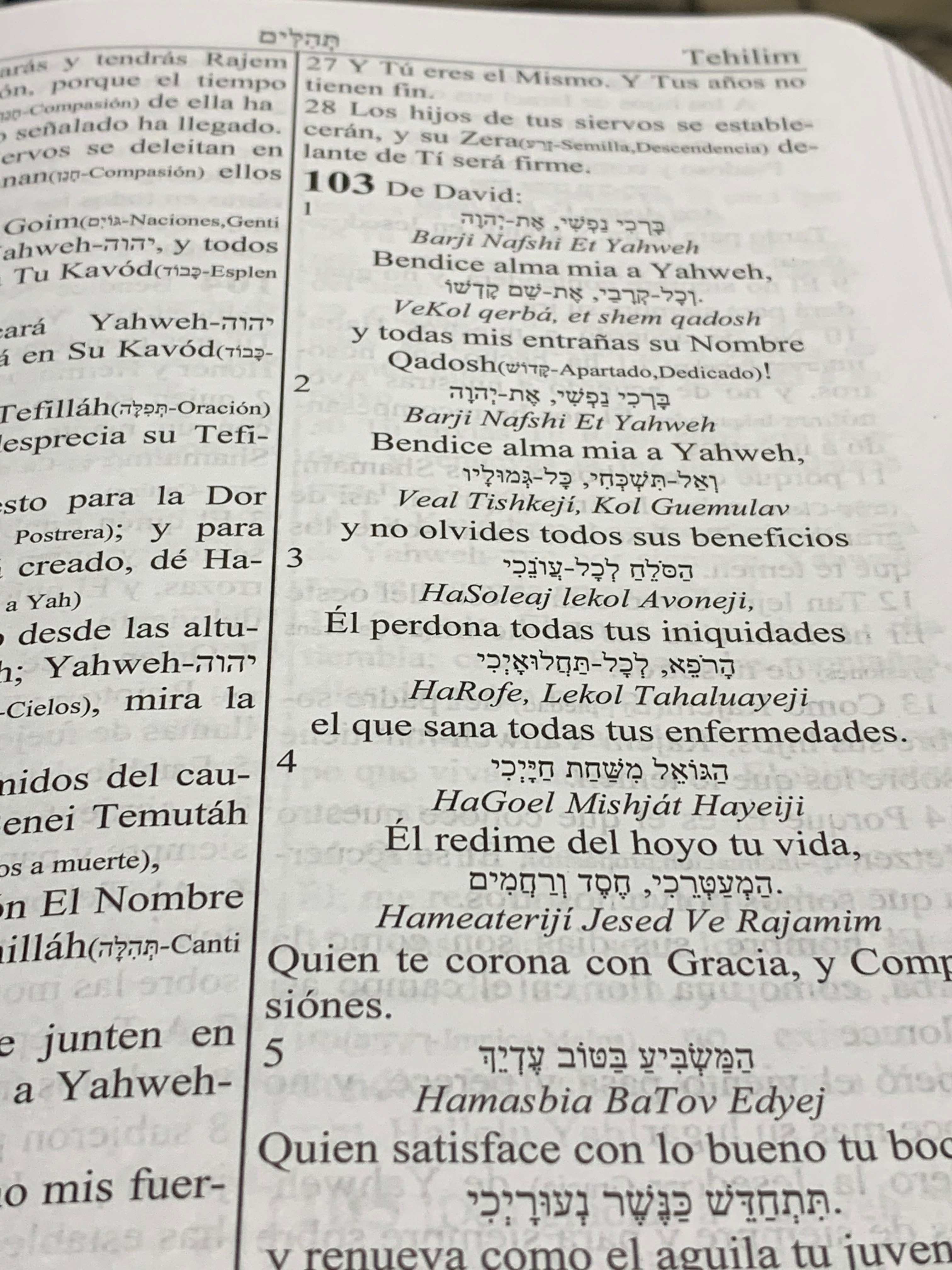biblia sefer davar en pdf